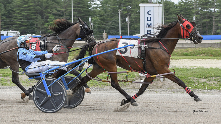 Two Fold Cold winning at First Tracks Cumberland