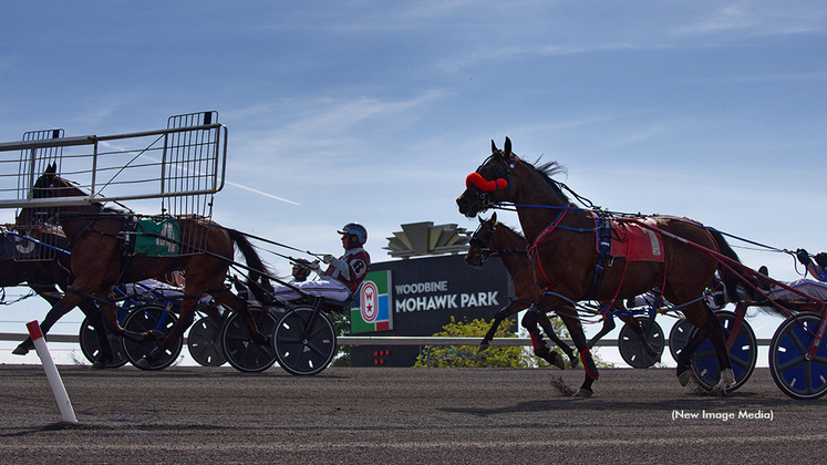 Horses head to the gate for qualifiers at Woodbine Mohawk Park