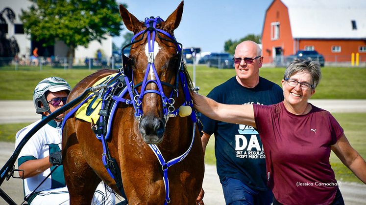 Vic Hayter Memorial Trot champion Charmbo Prince at Clinton Raceway