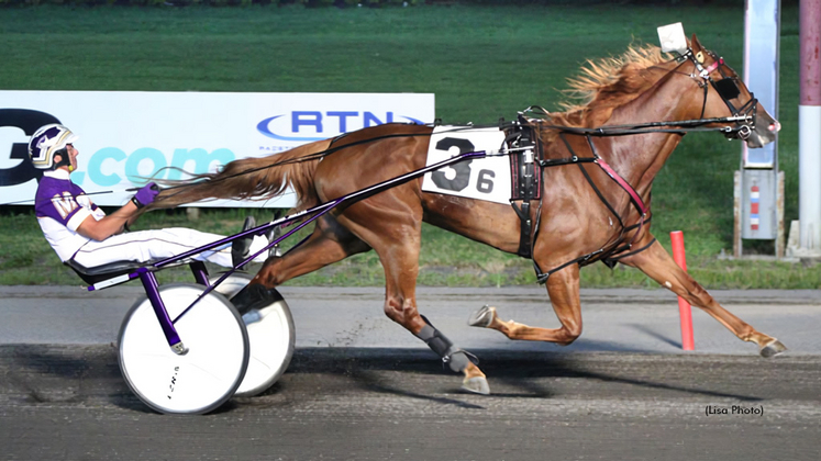 Elista Hanover winning at The Meadowlands