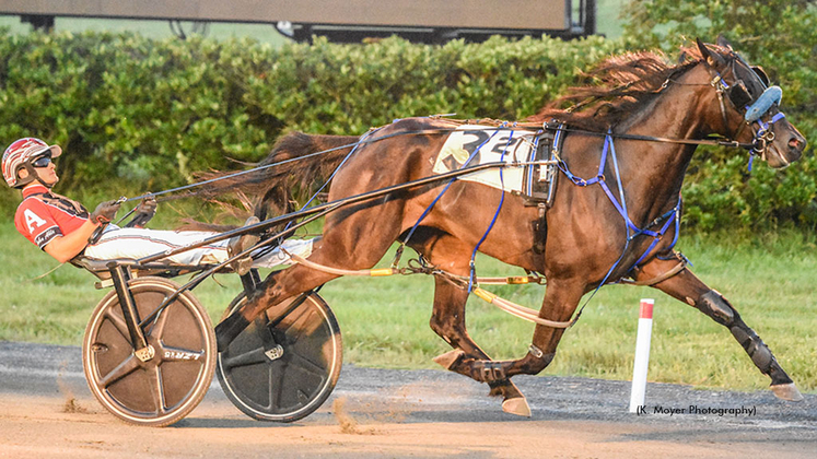 Fancy Like That winning at Ocean Downs