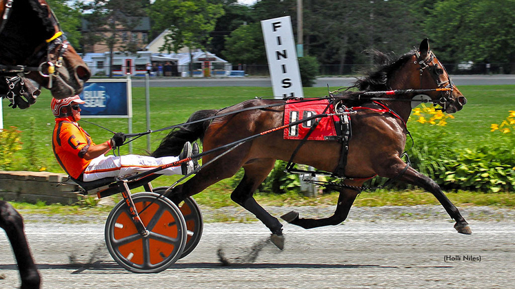 Pembroke Breeze winning at Bangor Raceway