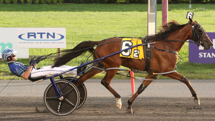 Reckless Abandon winning at The Meadowlands