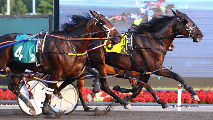 Silver Label winning at Woodbine Mohawk Park