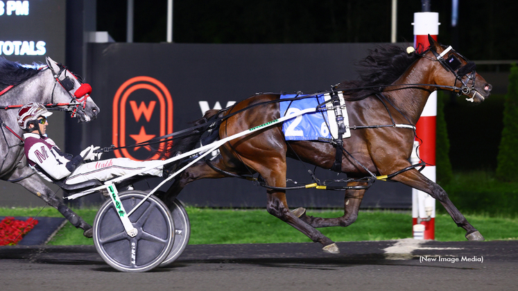 Stonebridge Wizard winning at Woodbine Mohawk Park