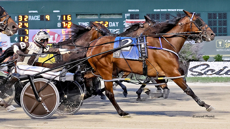 Tarapasta winning at Scioto Downs