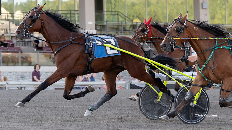 Wapiti Blue Chip winning at The Meadows