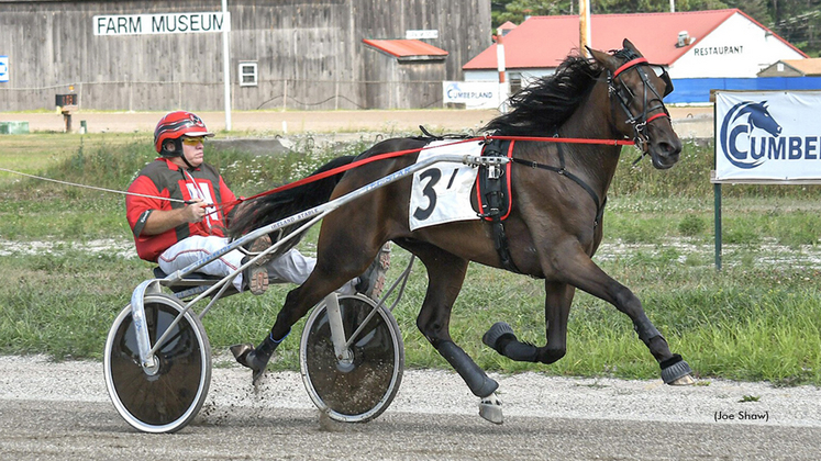 Whatawonder winning at First Tracks Cumberland