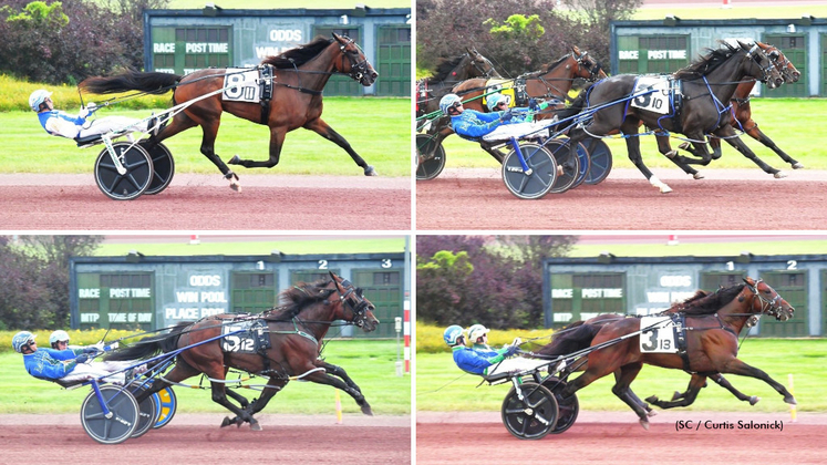 Warrawee Michelle, Odds On Platinum, Sig Sauer, Captain Albano