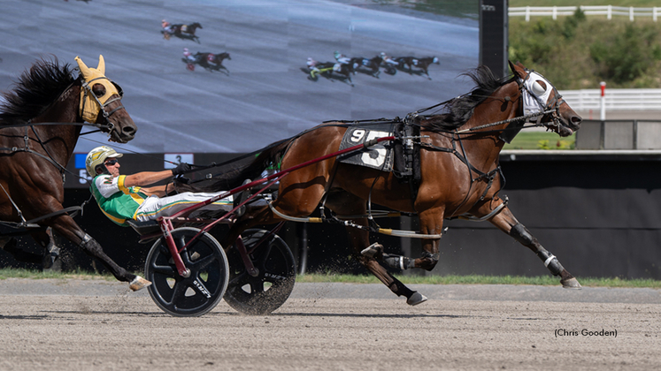 American Fling winning at The Meadows