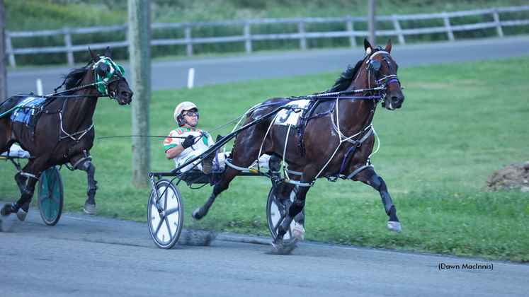 American History winning at Woodstock Raceway