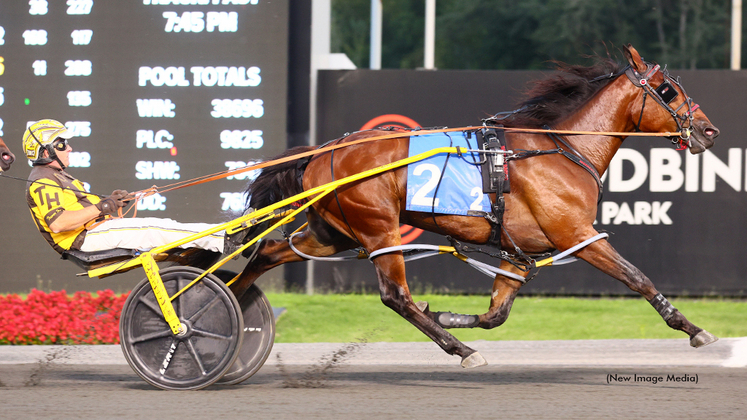 Boxer Seelster winning at Woodbine Mohawk Park