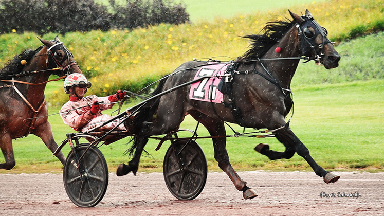 Chezactic winning at Pocono Downs