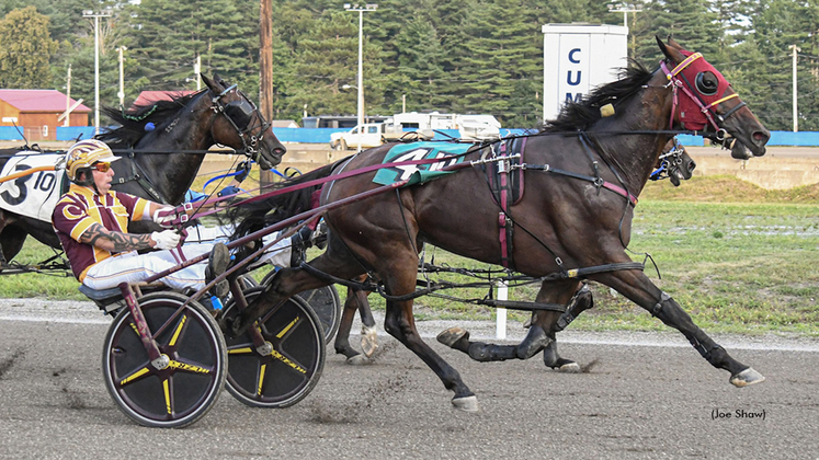 Ever Hoping winning at First Tracks Cumberland