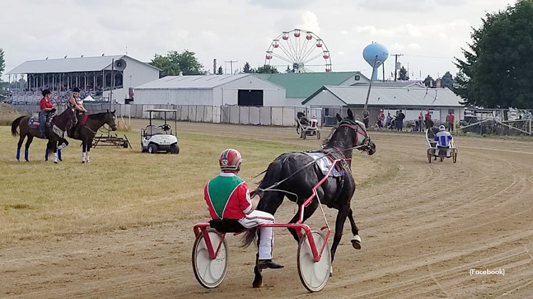 Horses on the track at Fowlerville, Mich.