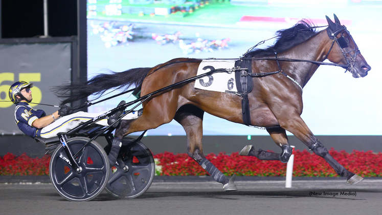 Highland Kismet winning at Woodbine Mohawk Park