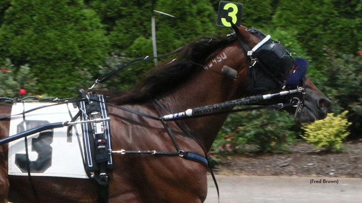 Howlenthehills winning at Tioga Downs