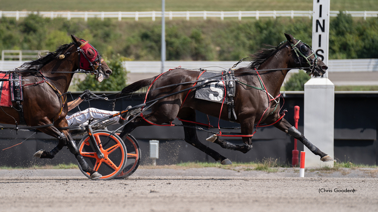 Infinite Symbol A winning at The Meadows