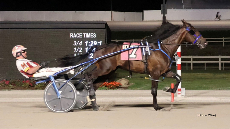 Lt Loverboy winning at Northfield Park