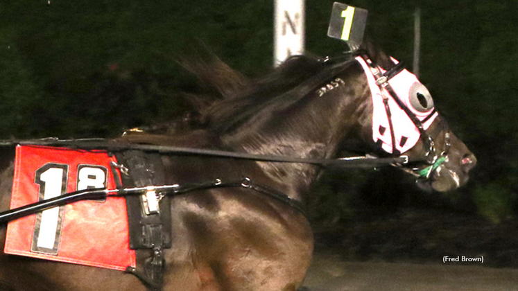 May Baby winning at Tioga Downs