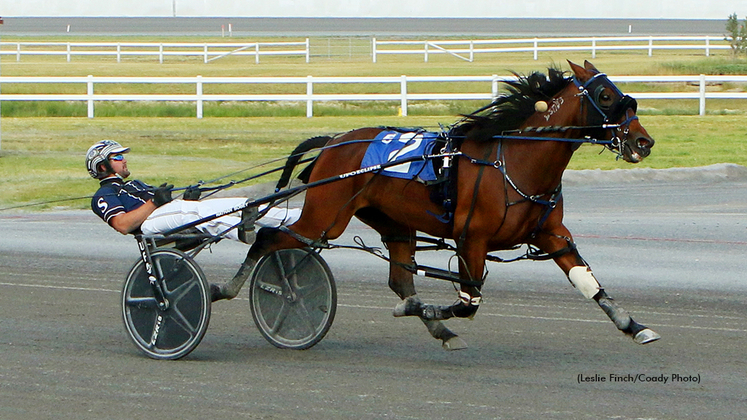 Outlaw Sharktastic winning at Century Downs