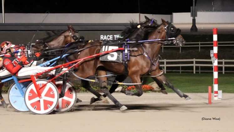 Pariss Dragon winning at Northfield Park