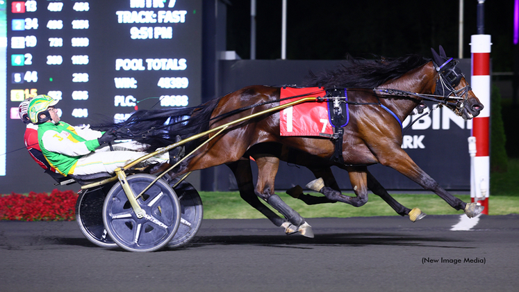 R Dutchess winning at Woodbine Mohawk Park