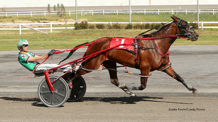 Stash The Cookies winning at Century Downs