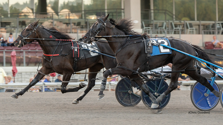 Sweet Gal winning at The Meadows