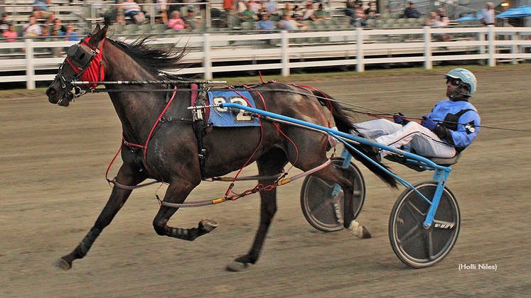 Two Cold Fold winning at Skowhegan Fair