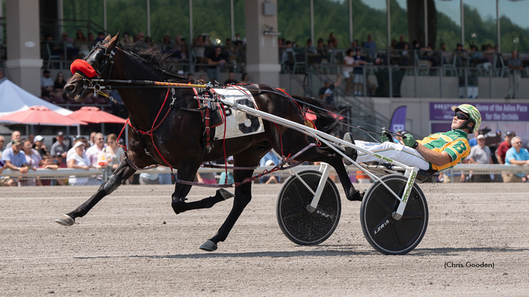 Wedlock Blue Chip winning at The Meadows