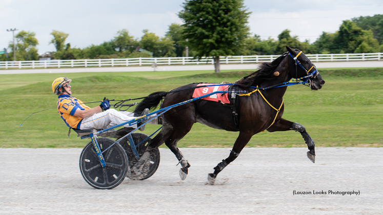 Workinitonbroadway winning at Leamington Raceway
