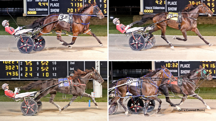 Twin B Joe Fresh, Jiggy Jog S, Abuckabett Hanover and Logan Park