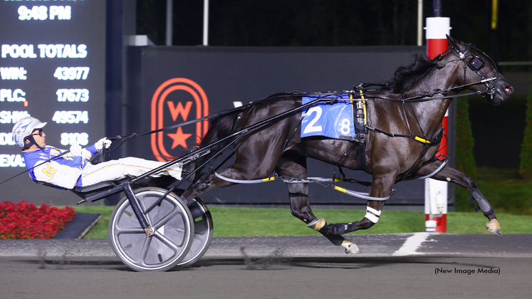 Chantilly winning at Woodbine Mohawk Park