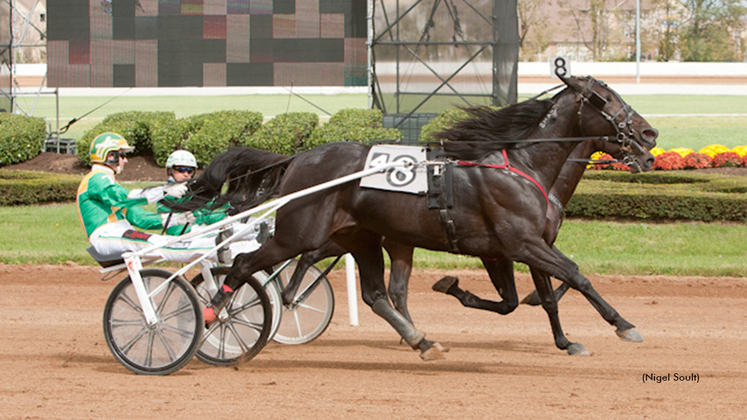 Creatine winning at The Red Mile