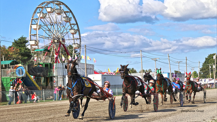 Harness racing at Cumberland Fair