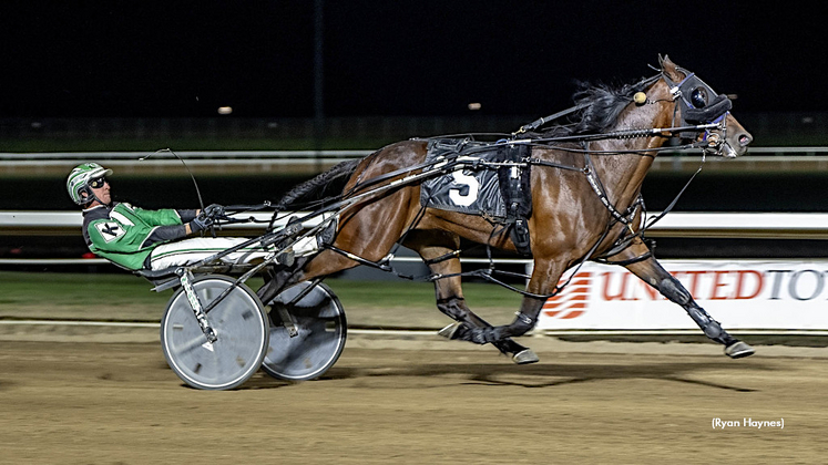 Handsome Dan gives Dave Kelly 1,000 driving wins