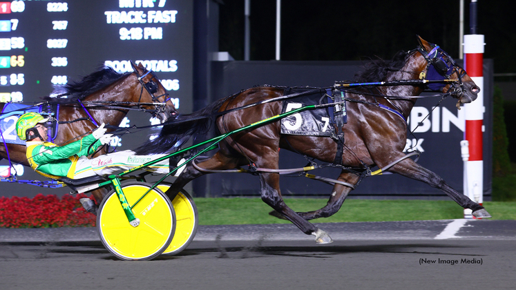 Fallout winning at Woodbine Mohawk Park