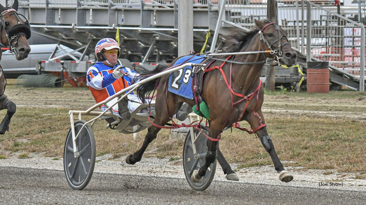 Gowestyounggrace winning at First Tracks Cumberland