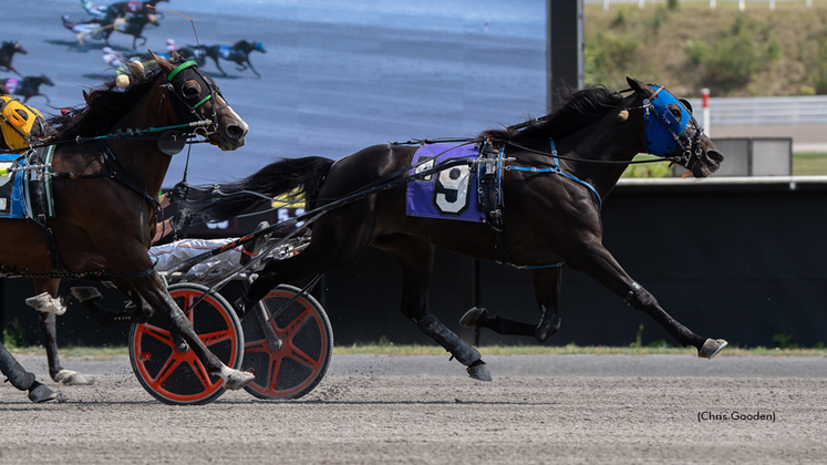 Guido Di winning at The Meadows