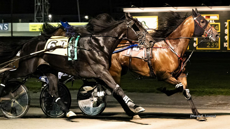 Johnny Boy winning at Batavia Downs