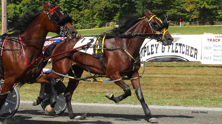 Leanne Marie winning at Farmington Fair