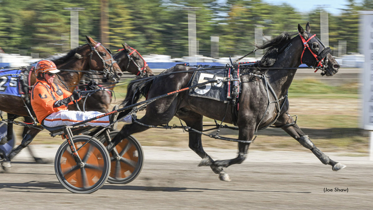 Mocha On The Rocks winning at Cumberland Fair
