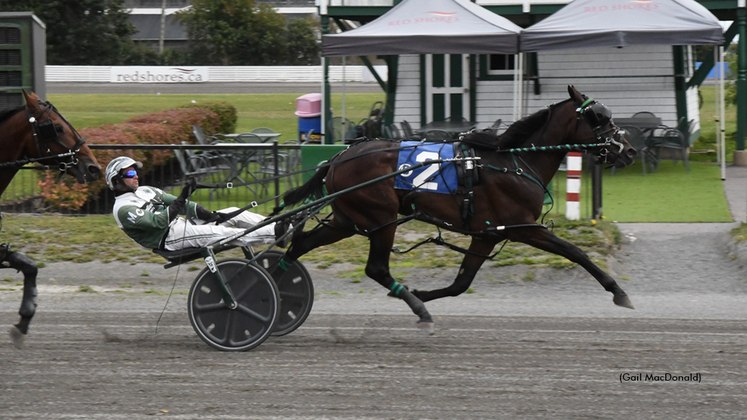 Phil My Beer winning at Charlottetown Driving Park