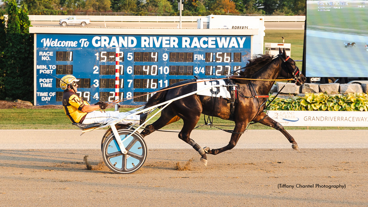 Pierre In Paris winning at Grand River Raceway