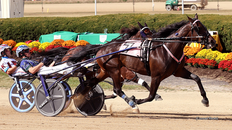 Sadbirdstillsing winning at Delaware County Fair