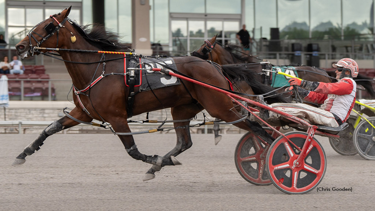 Sarasota Hanover winning at The Meadows