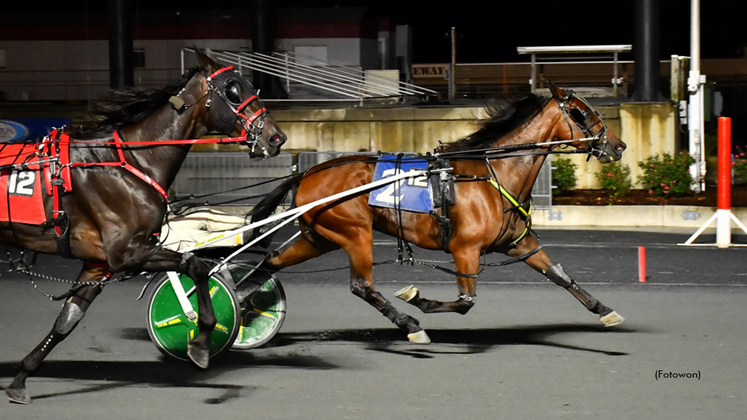 Speed Away winning at Harrington Raceway