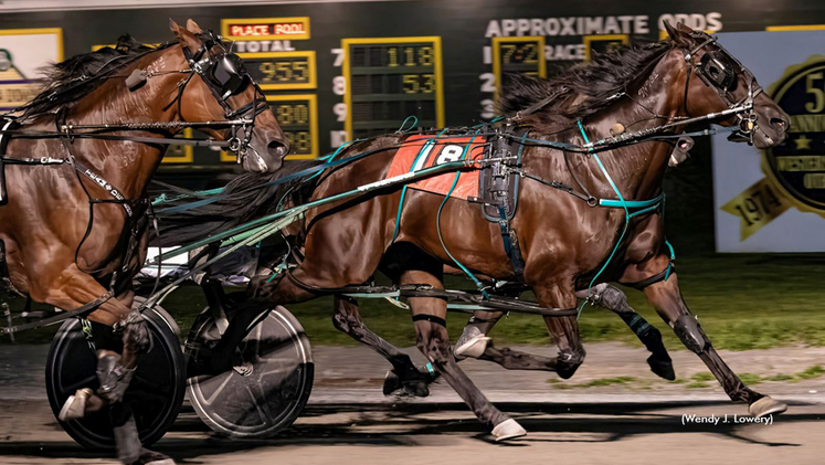 Tiger Baron winning at Batavia Downs