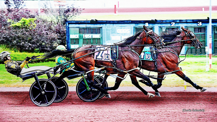 Yankee Clout winning at Pocono Downs